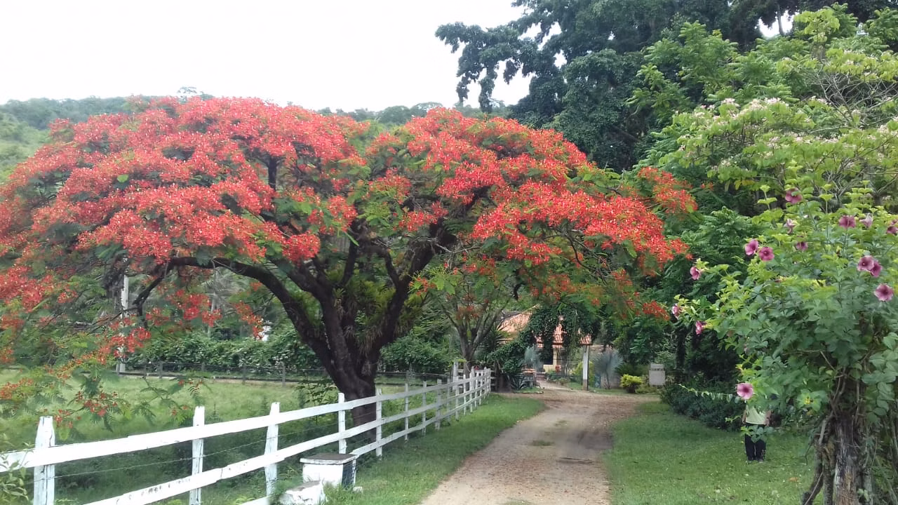 Fazenda de 86 ha em Cantagalo, RJ