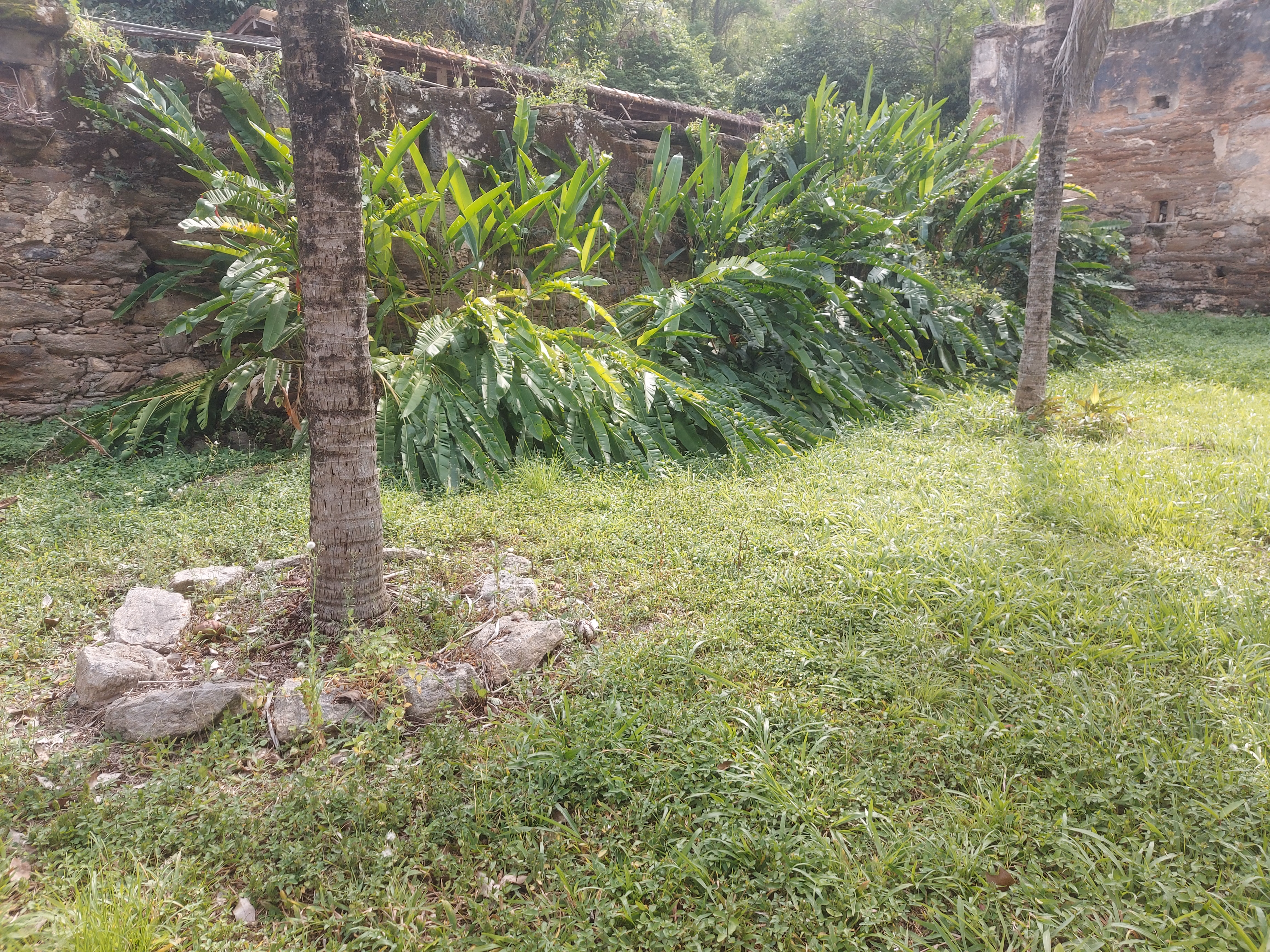 Fazenda de 86 ha em Cantagalo, RJ