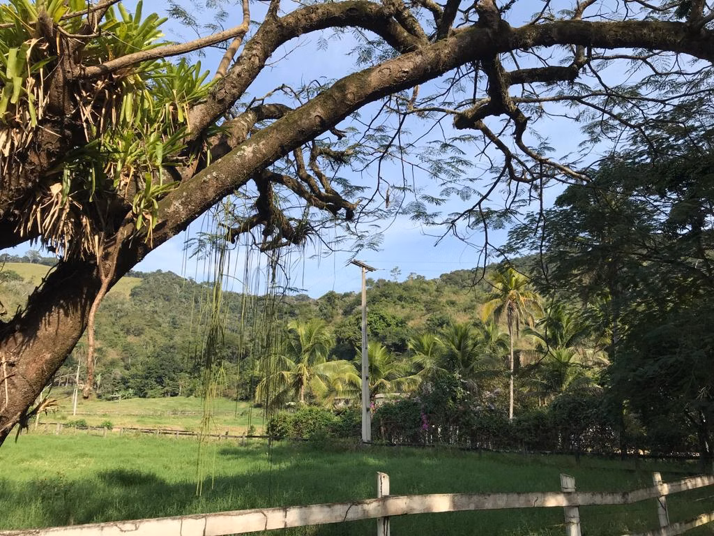 Fazenda de 86 ha em Cantagalo, RJ