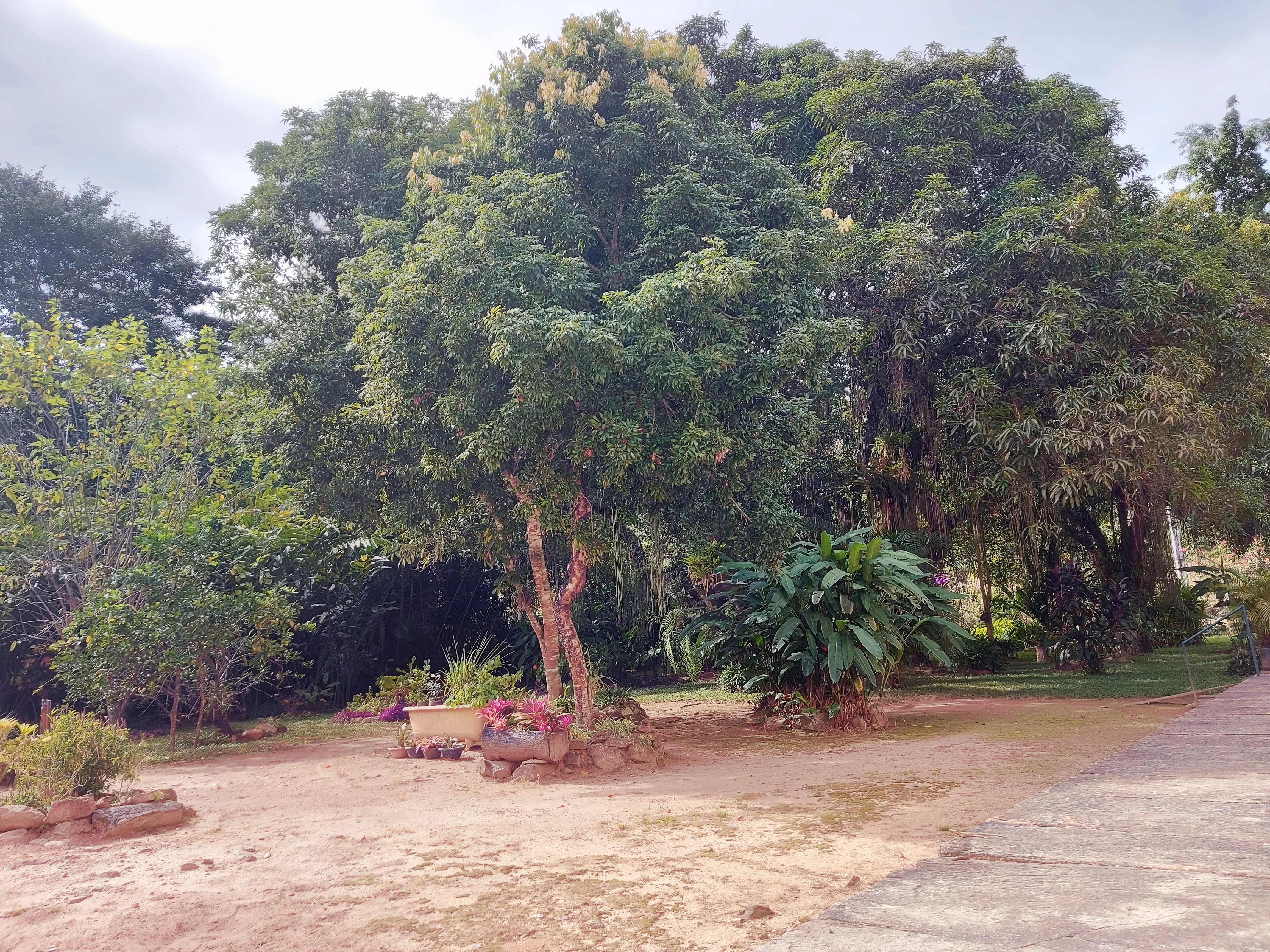 Fazenda de 86 ha em Cantagalo, RJ