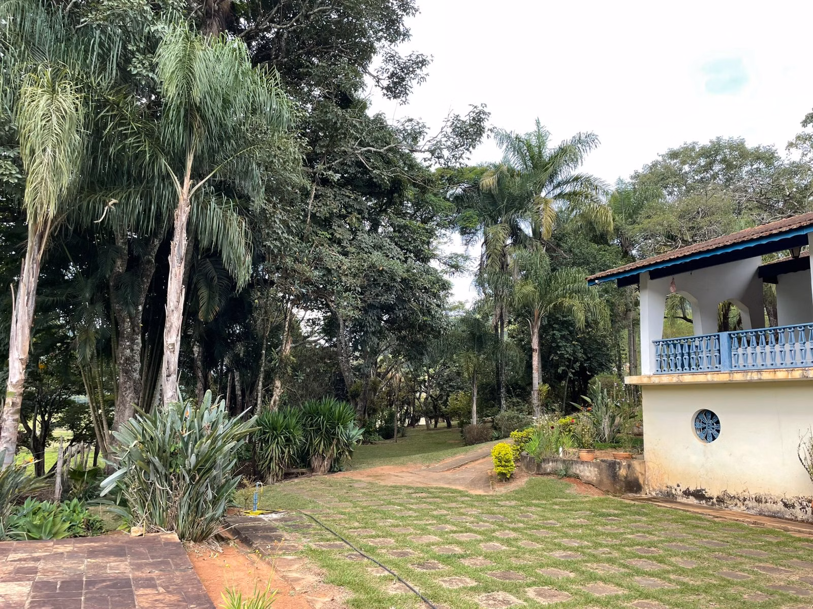 Sítio à venda de 23 ha em Bragança Paulista, SP