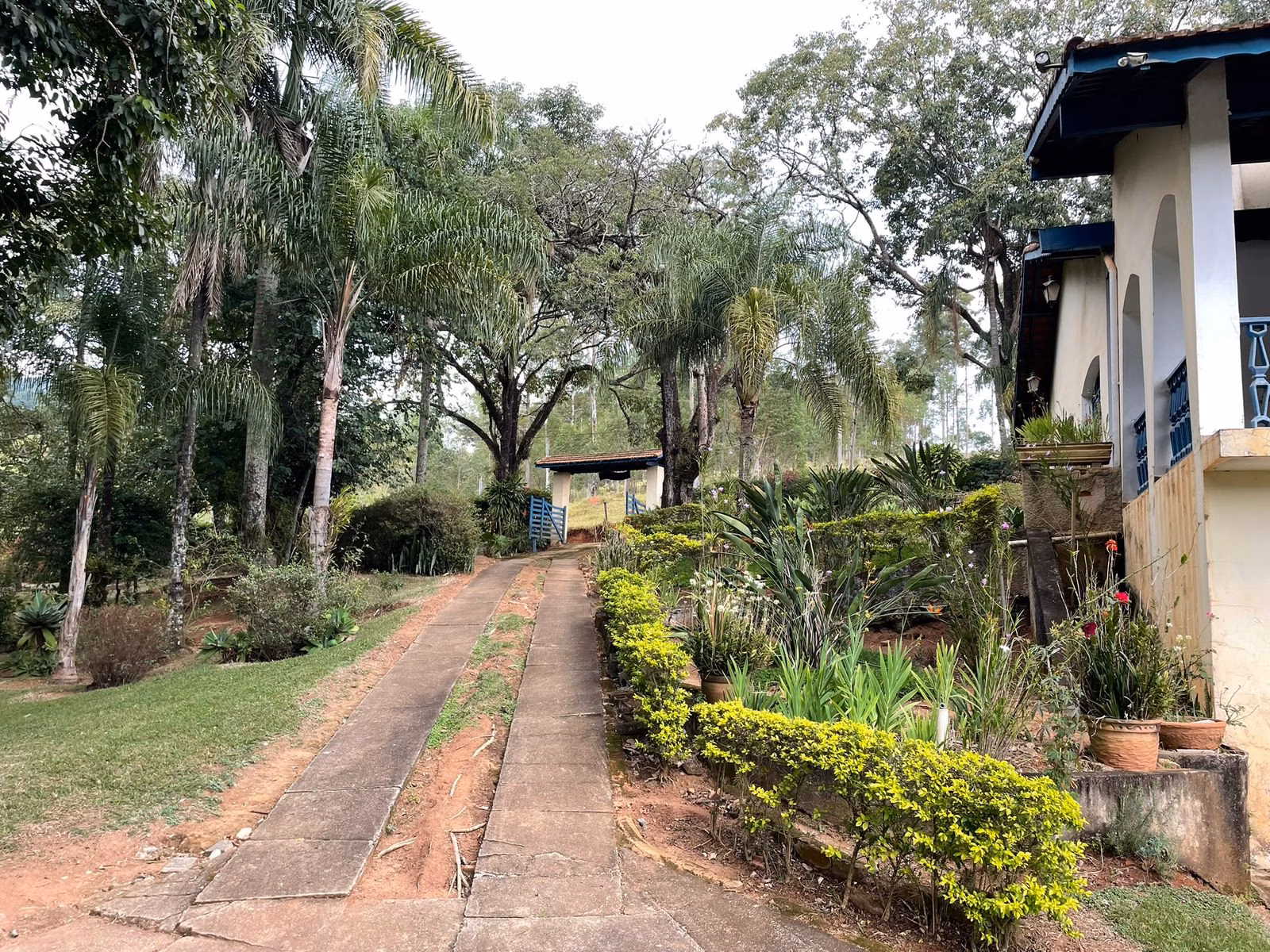 Sítio à venda de 23 ha em Bragança Paulista, SP