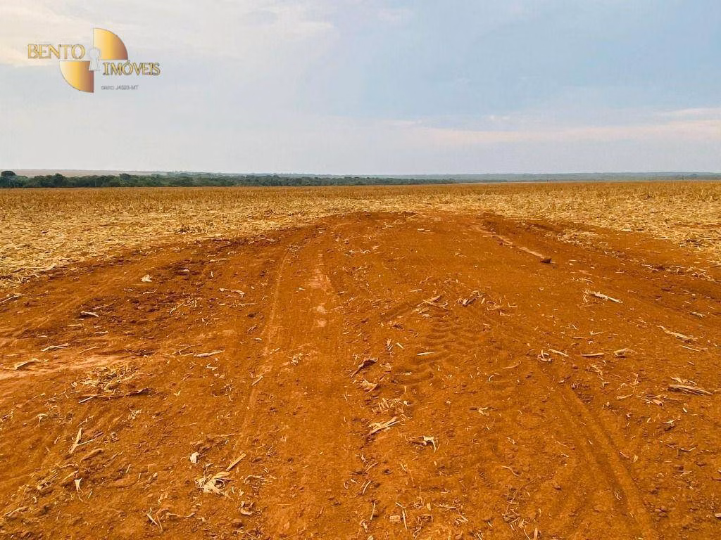 Fazenda de 3.050 ha em Lucas do Rio Verde, MT