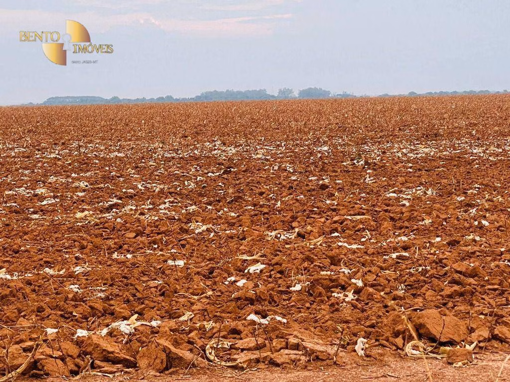 Fazenda de 3.050 ha em Lucas do Rio Verde, MT