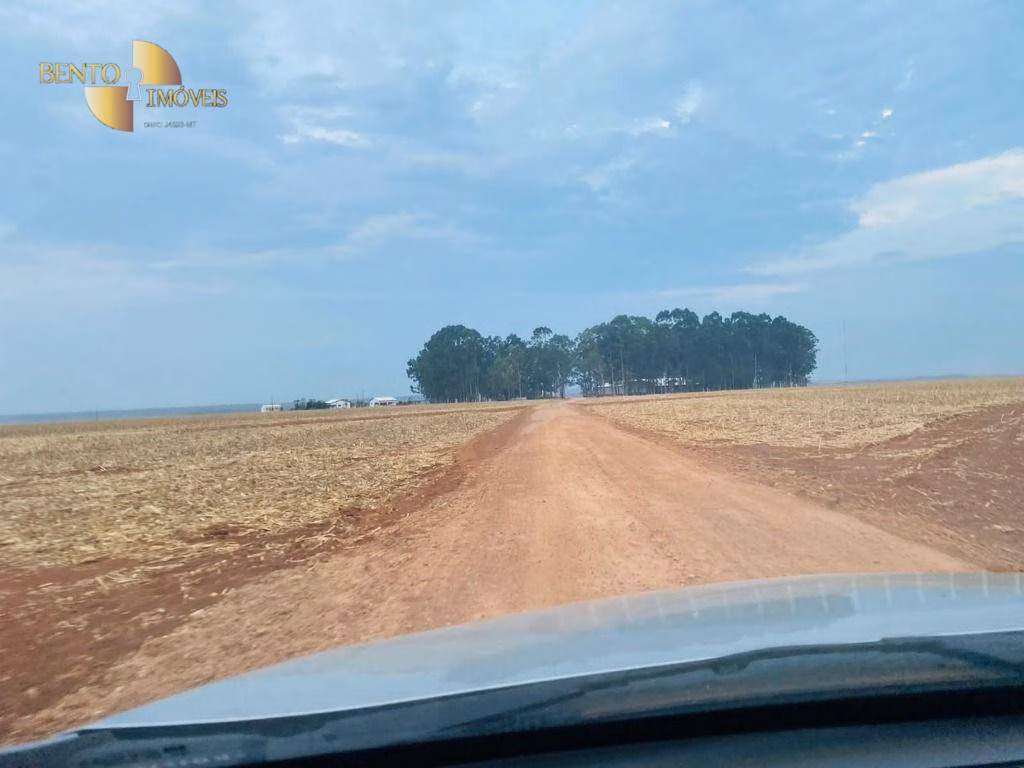 Fazenda de 3.050 ha em Lucas do Rio Verde, MT