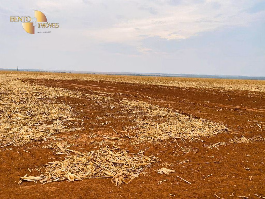 Fazenda de 3.050 ha em Lucas do Rio Verde, MT