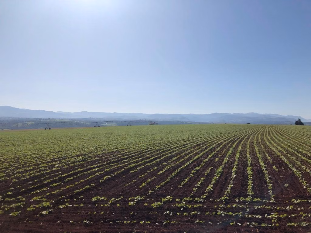 Fazenda de 155 ha em São João da Boa Vista, SP