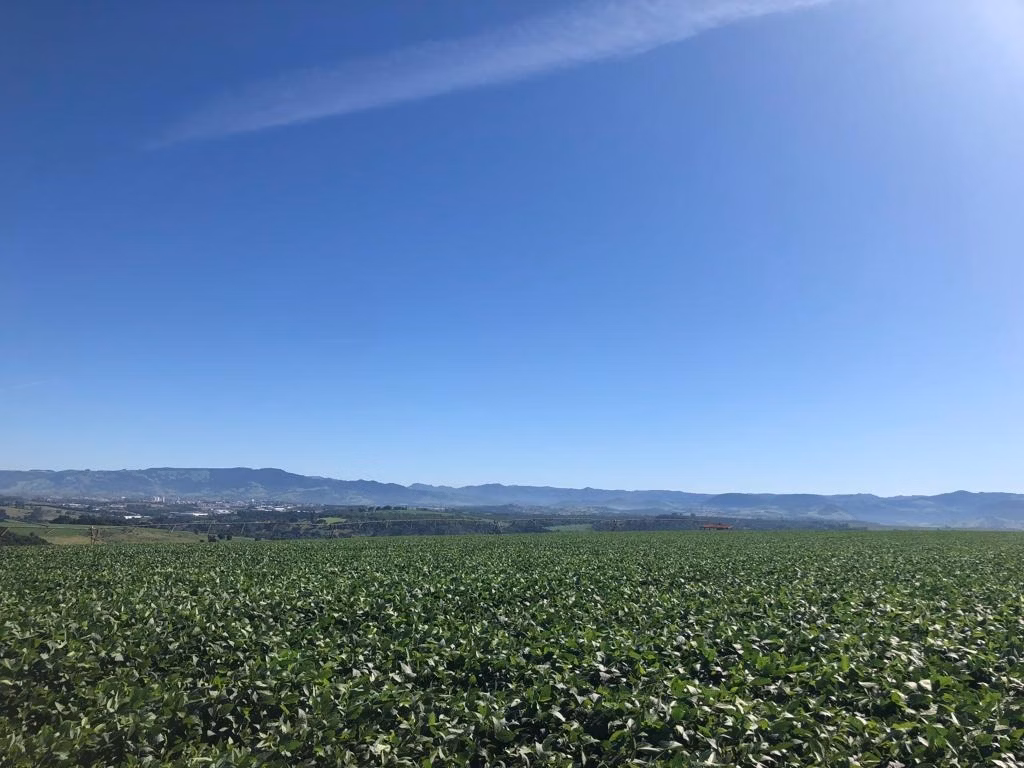 Fazenda de 155 ha em São João da Boa Vista, SP