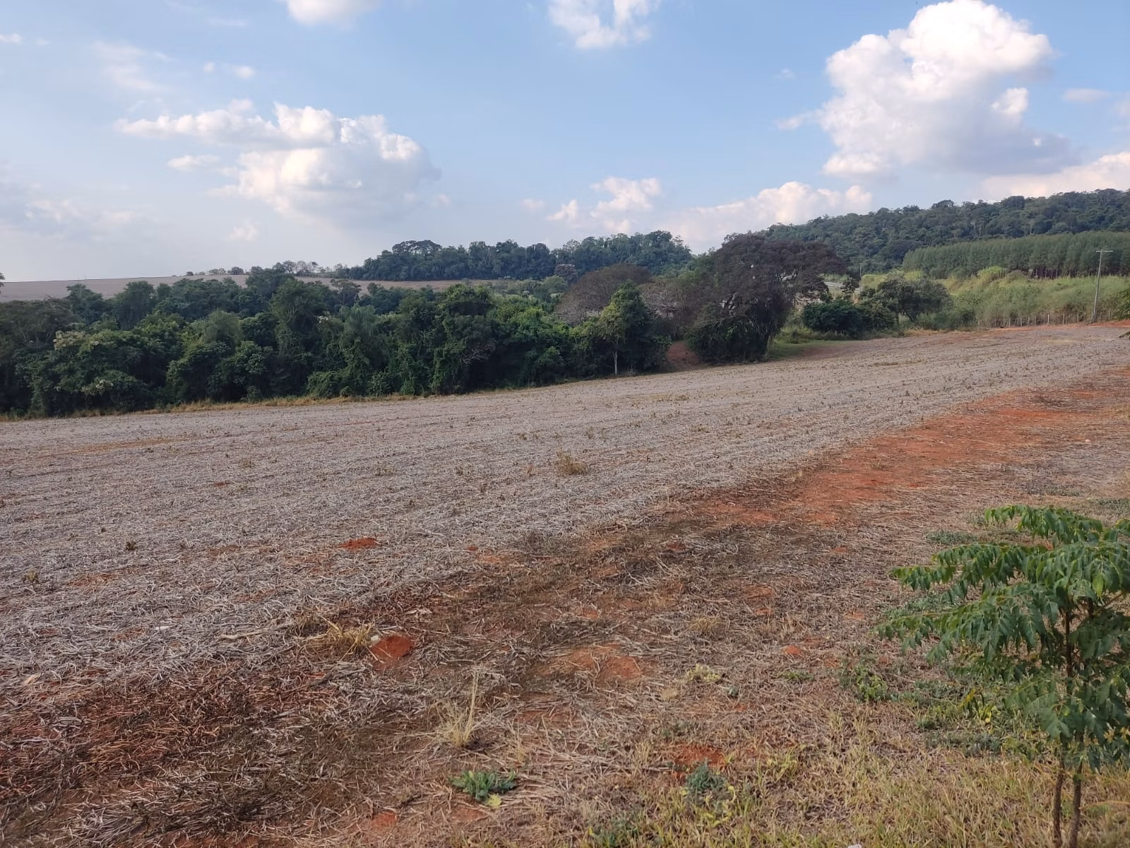 Sítio de 58 ha em Itapetininga, SP