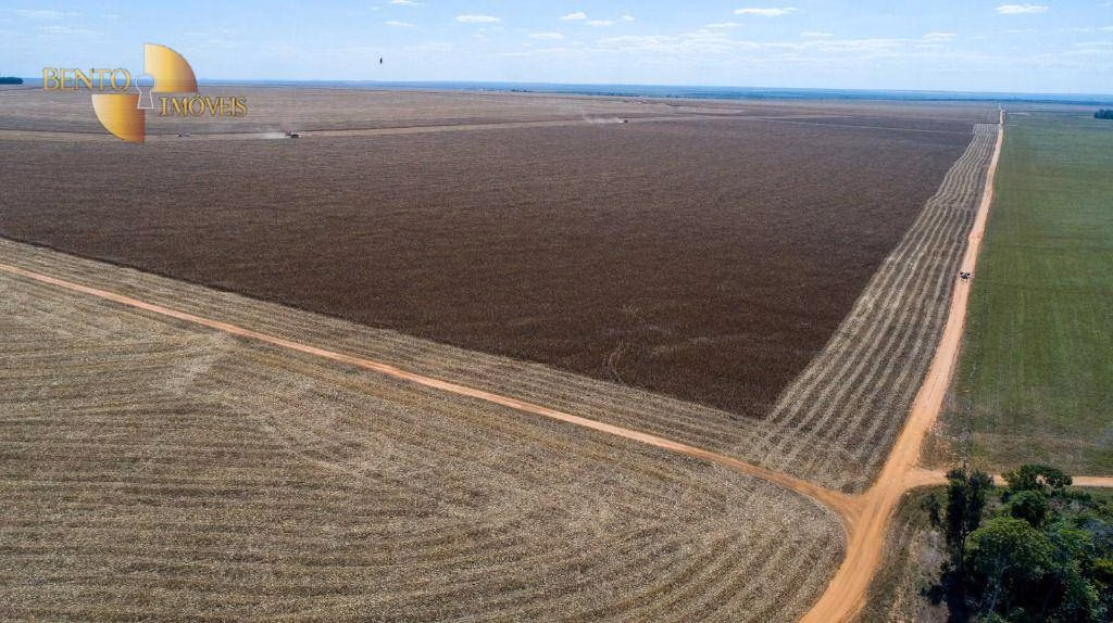 Fazenda de 5.000 ha em Nova Maringá, MT