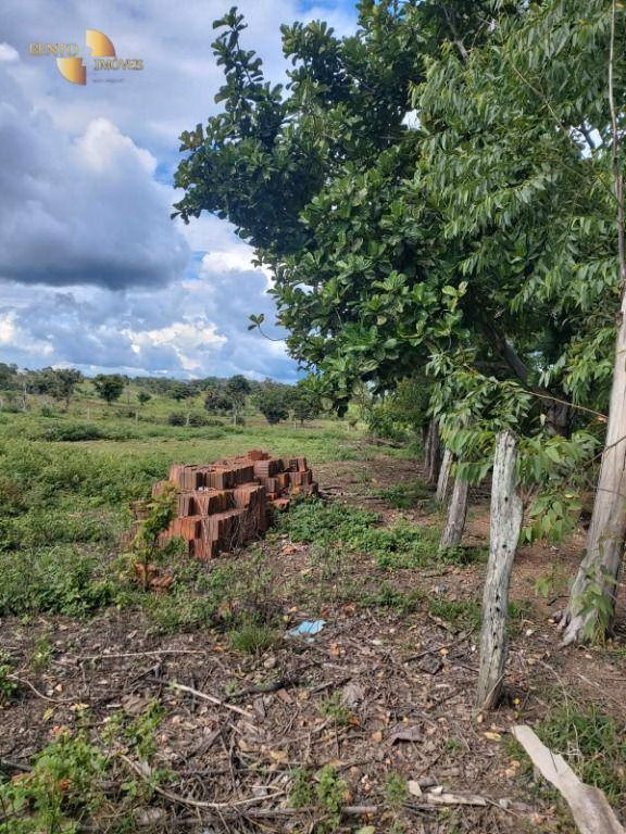 Farm of 1,876 acres in Cáceres, MT, Brazil