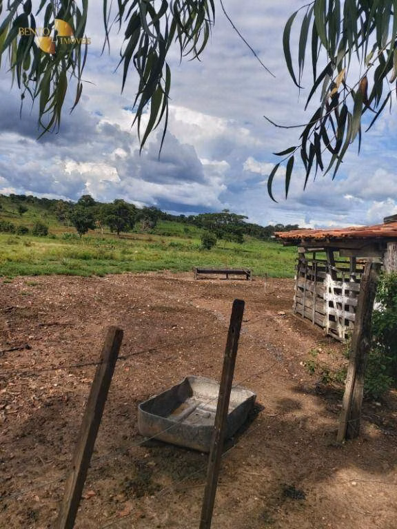 Farm of 1,876 acres in Cáceres, MT, Brazil