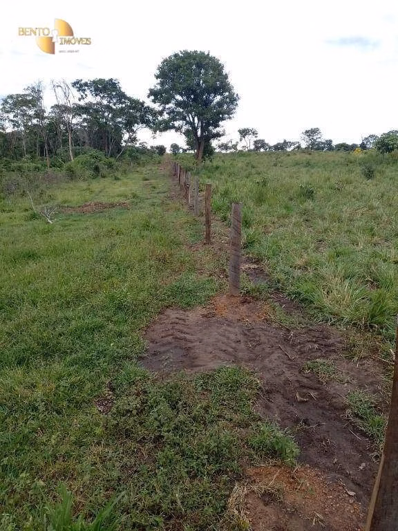 Farm of 1,876 acres in Cáceres, MT, Brazil