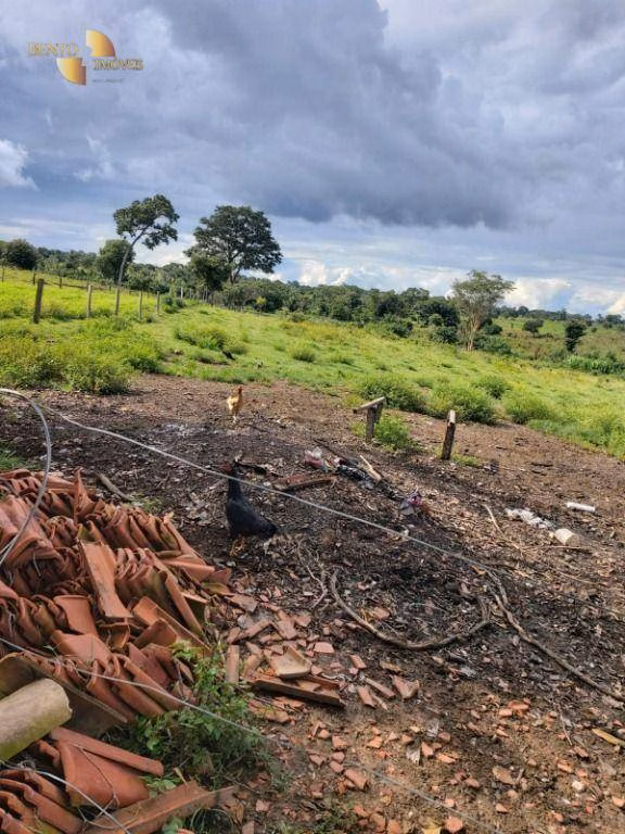 Farm of 1,876 acres in Cáceres, MT, Brazil