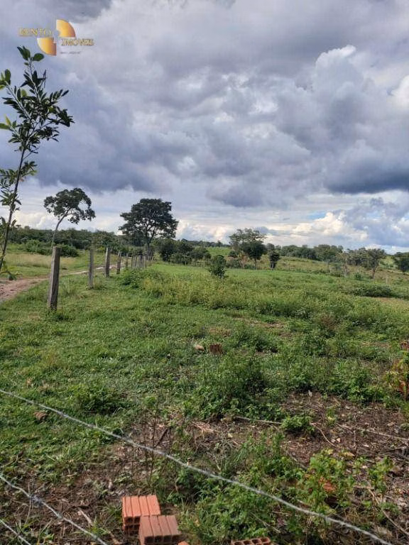 Farm of 1,876 acres in Cáceres, MT, Brazil