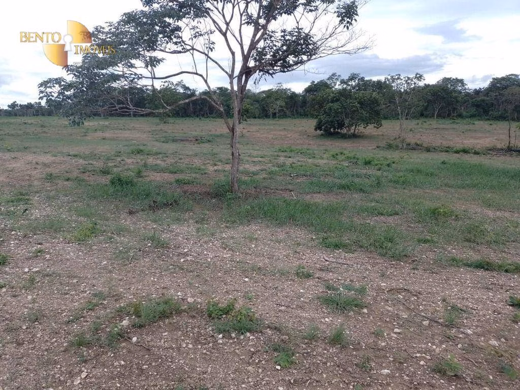 Farm of 1,876 acres in Cáceres, MT, Brazil
