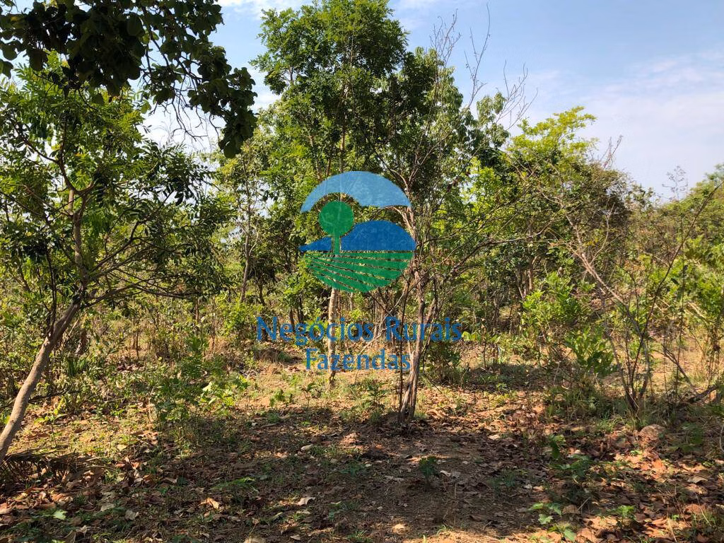 Fazenda de 726 ha em Uruaçu, GO