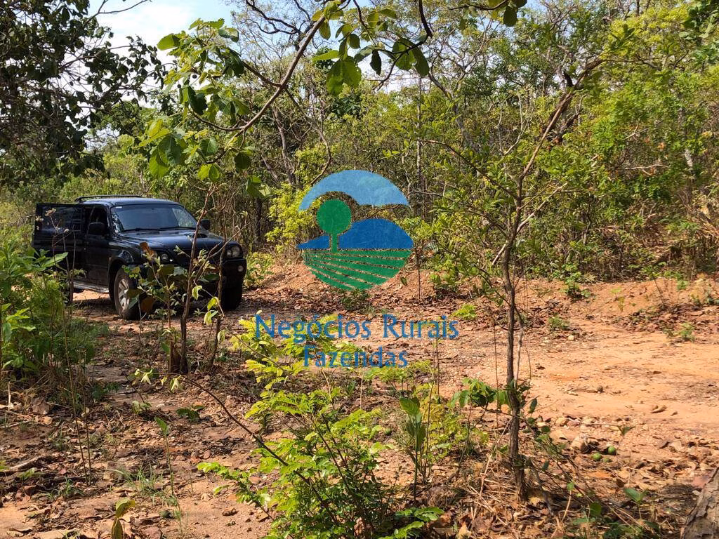 Fazenda de 726 ha em Uruaçu, GO