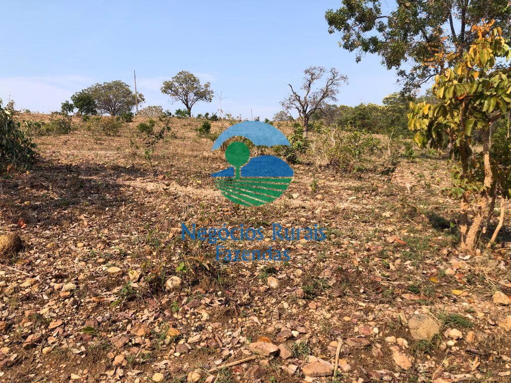 Fazenda de 726 ha em Uruaçu, GO