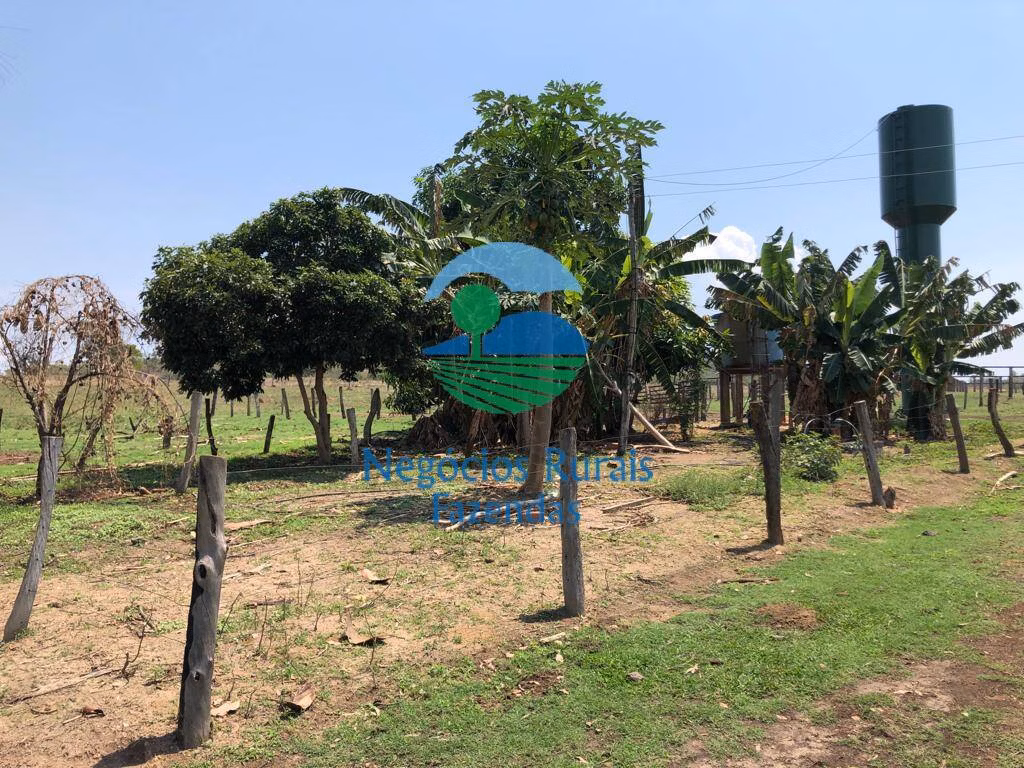 Fazenda de 726 ha em Uruaçu, GO