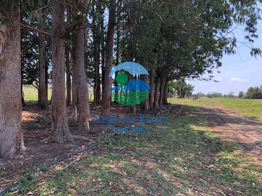 Fazenda de 726 ha em Uruaçu, GO