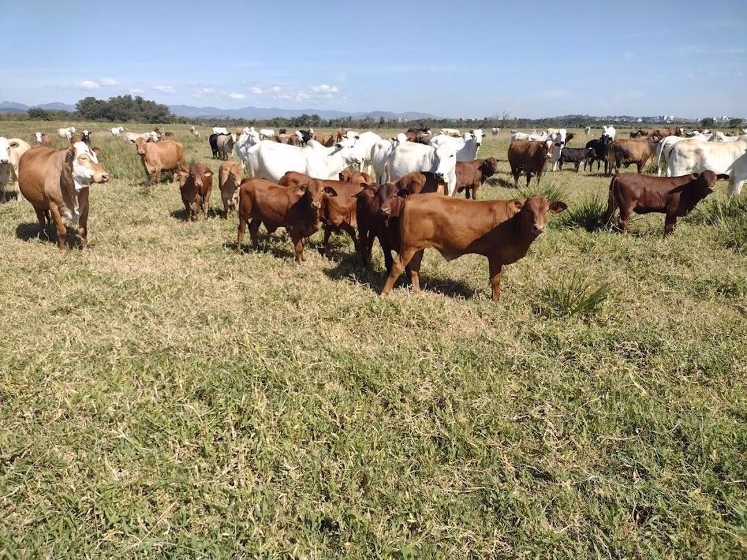 Ферма на продажу 120 ha в Guaratinguetá, SP