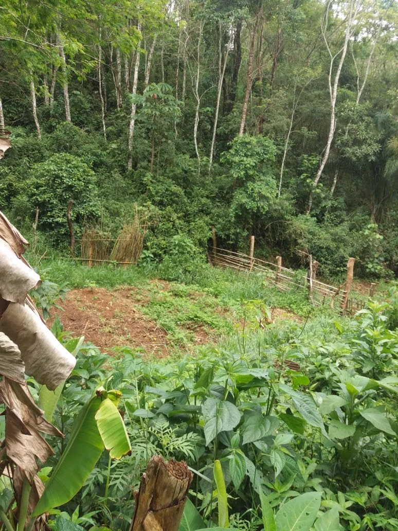 Chácara de 5.000 m² em Monteiro Lobato, SP