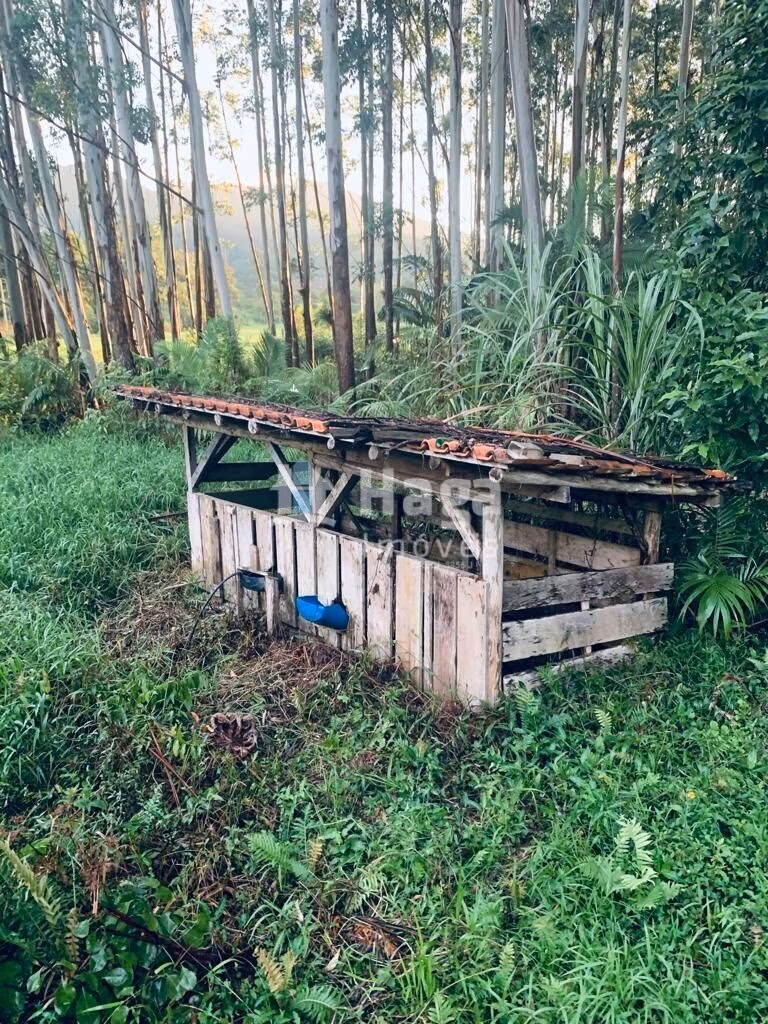 Chácara de 1 ha em Luiz Alves, SC