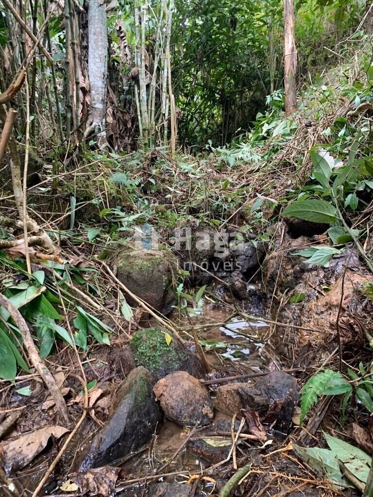 Chácara de 1 ha em Luiz Alves, SC