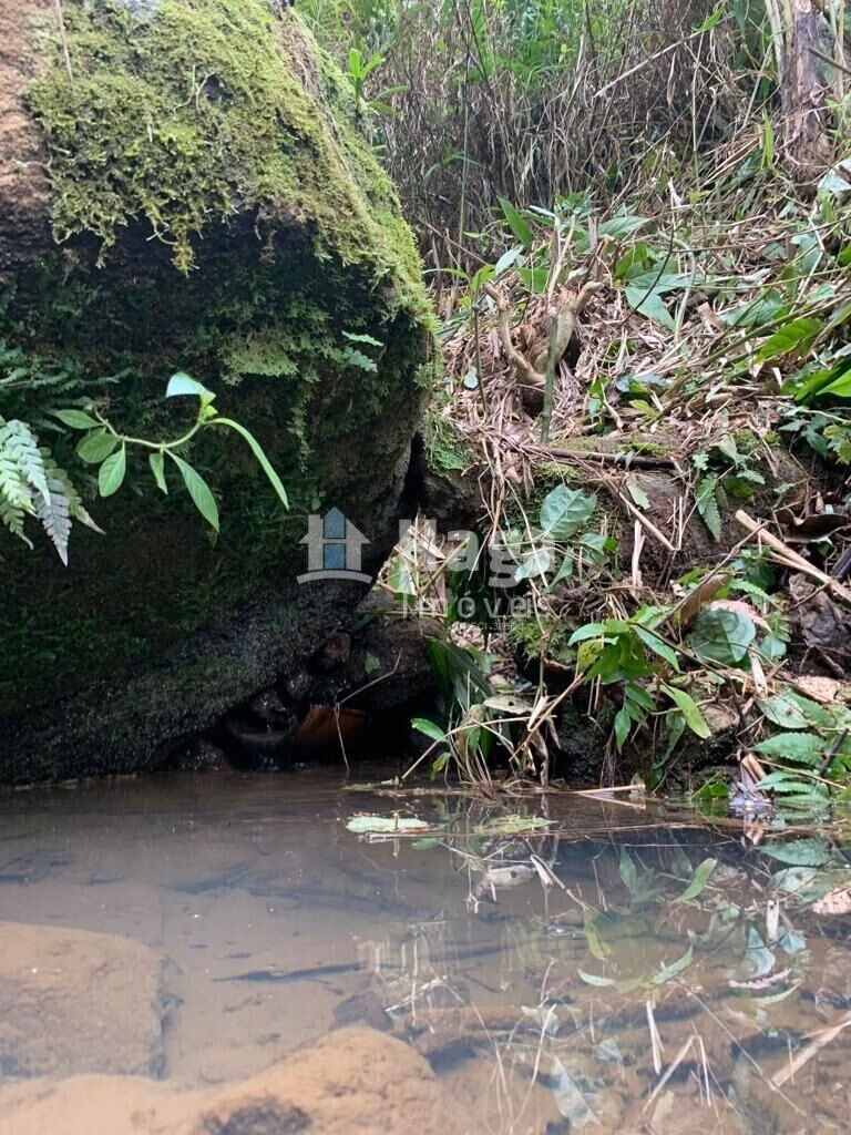 Chácara de 1 ha em Luiz Alves, SC