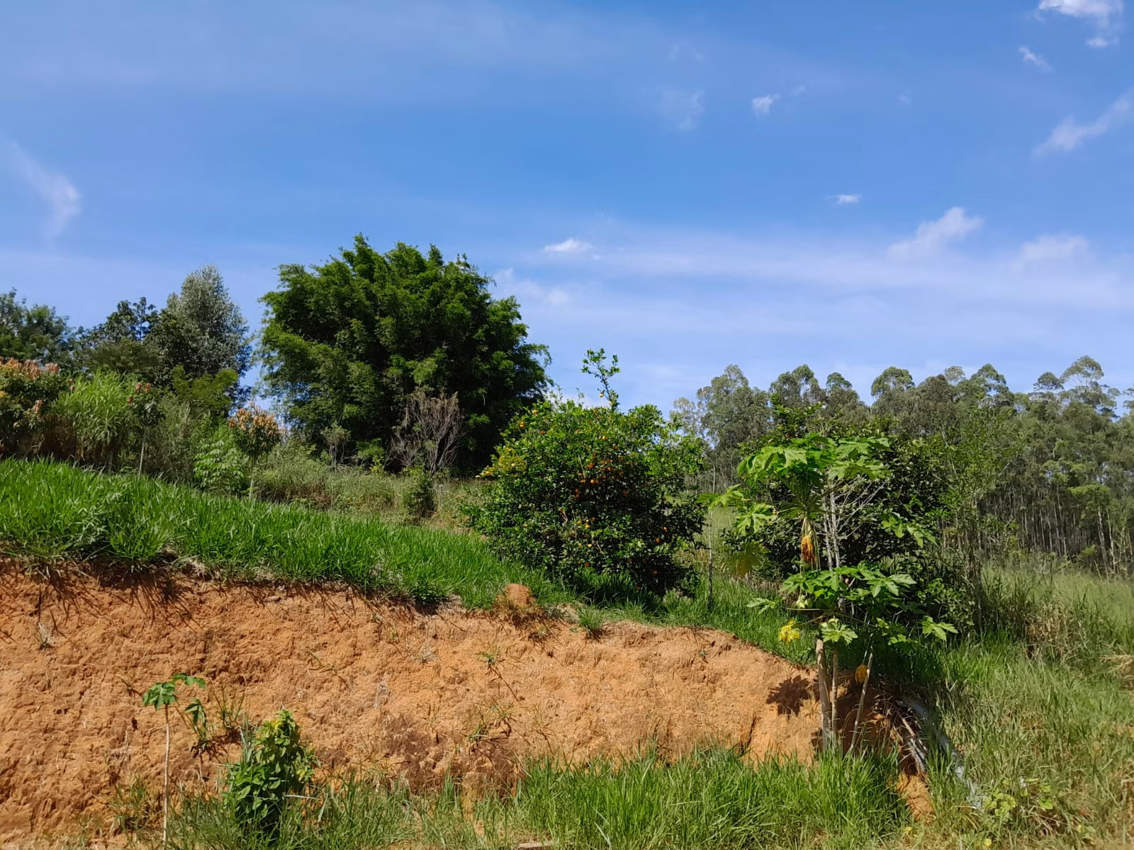 Country home of 2 acres in Paraibuna, SP, Brazil