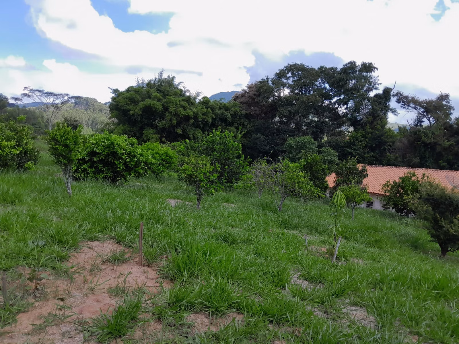 Chácara de 1 ha em Paraibuna, SP