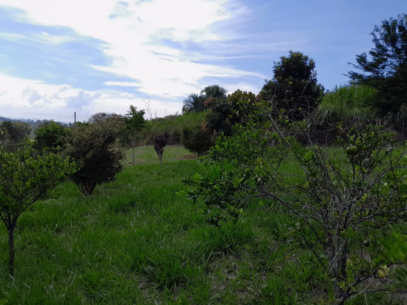 Country home of 2 acres in Paraibuna, SP, Brazil