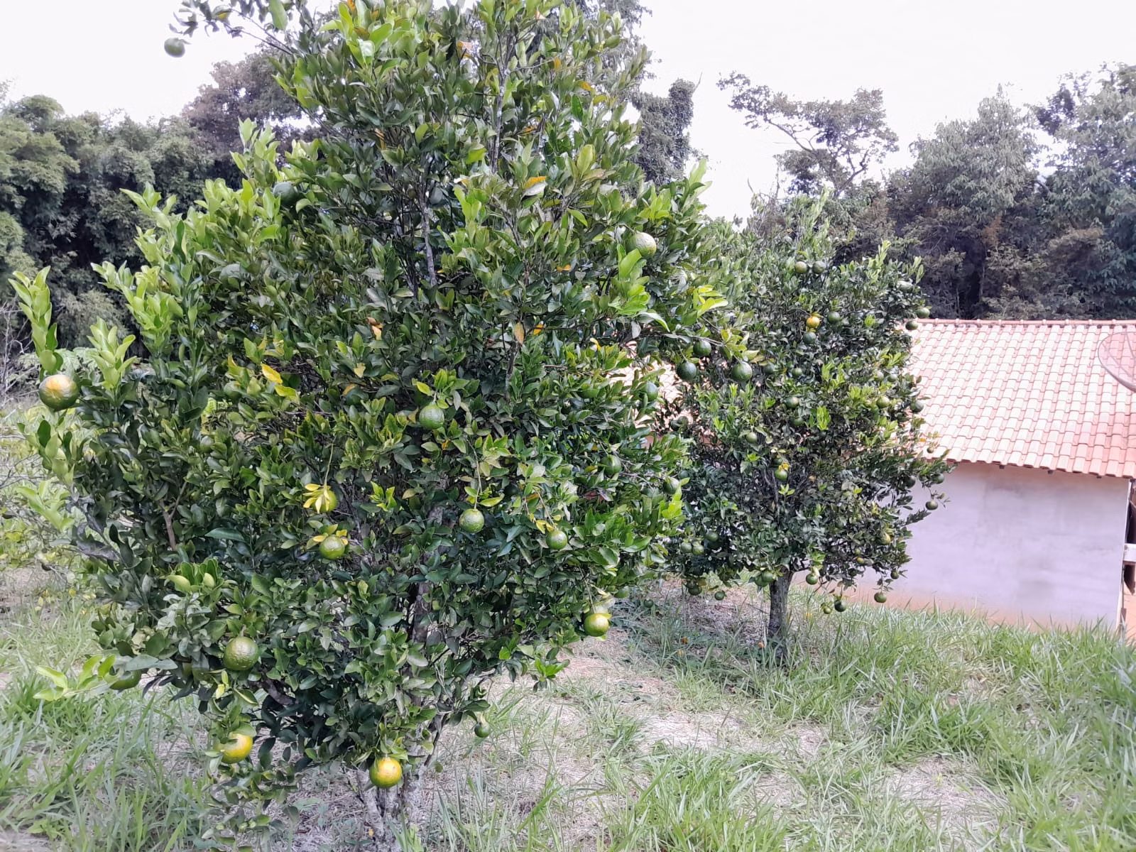 Country home of 2 acres in Paraibuna, SP, Brazil