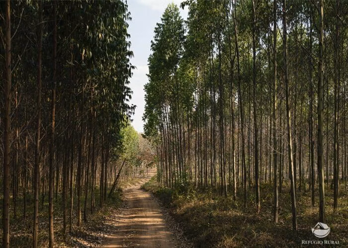 Small farm of 44 acres in São José dos Campos, SP, Brazil