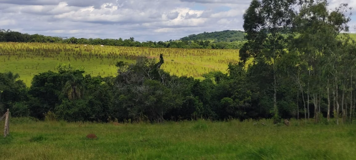 Chácara de 5 ha em Angatuba, SP