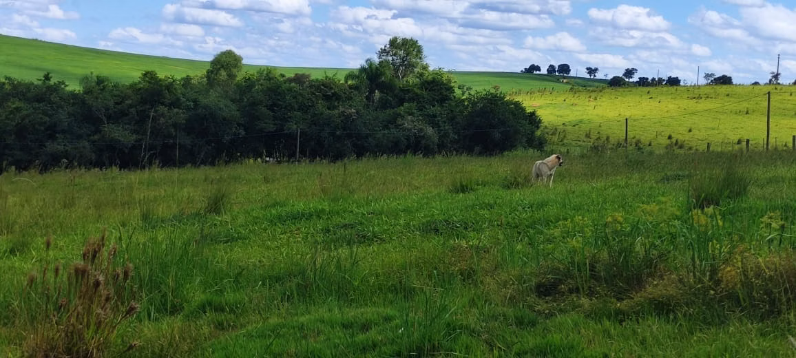 Chácara de 5 ha em Angatuba, SP