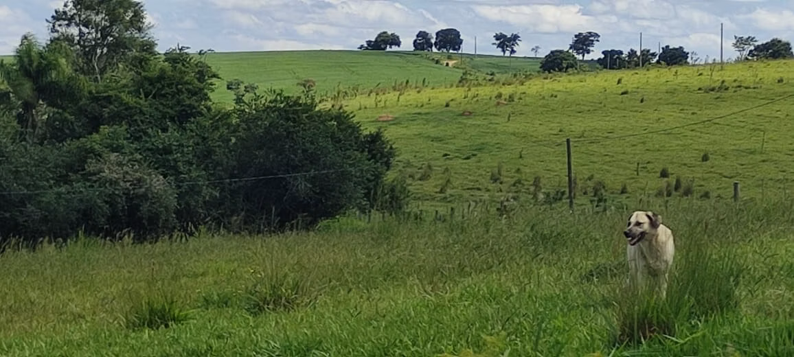 Chácara de 5 ha em Angatuba, SP