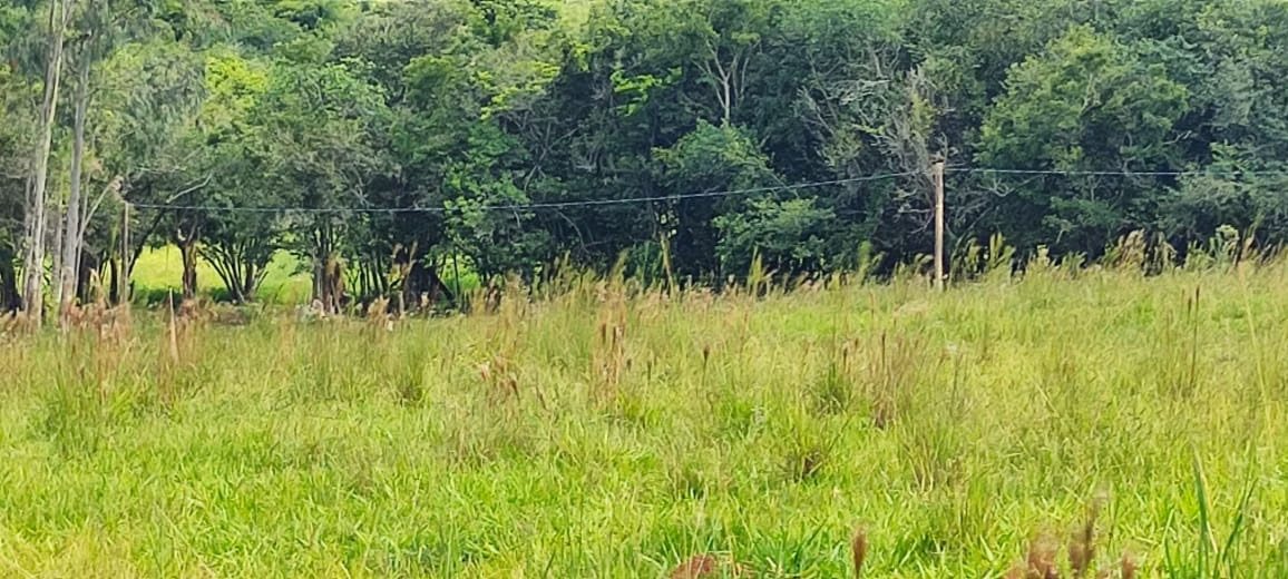 Chácara de 5 ha em Angatuba, SP