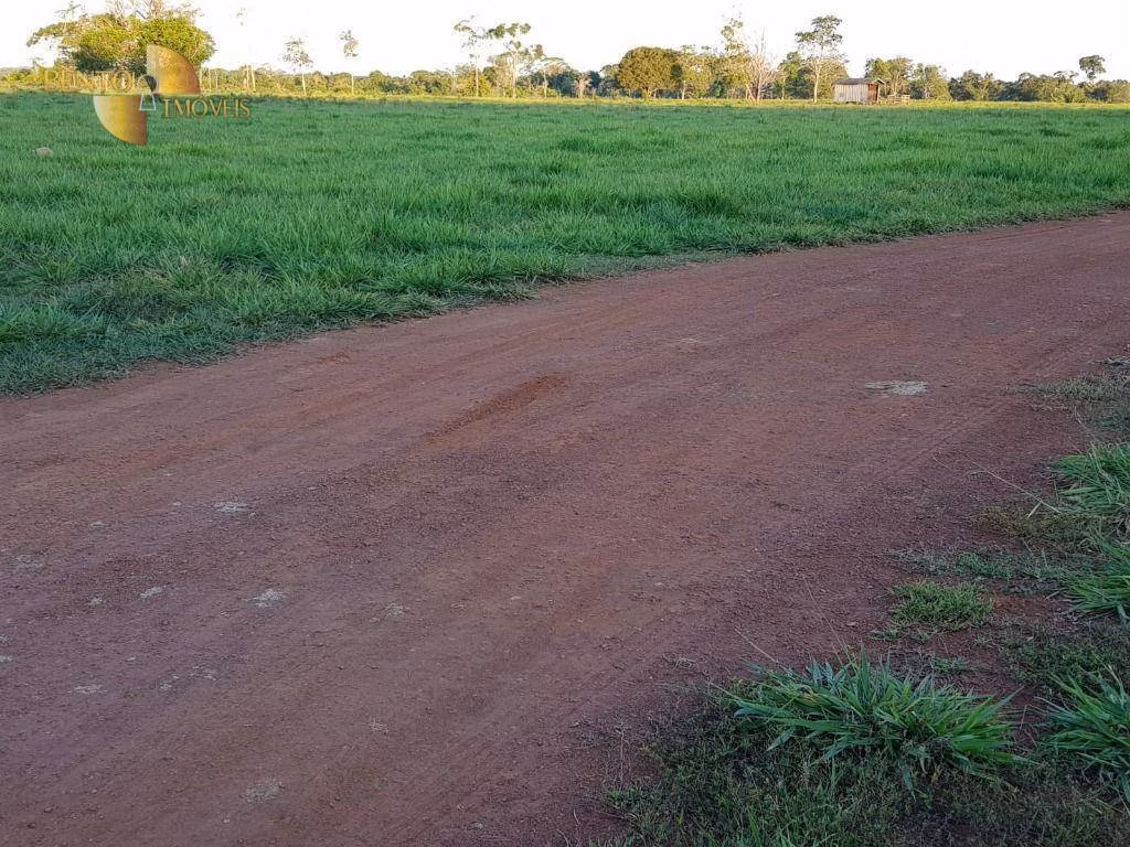 Fazenda de 408 ha em Colíder, MT