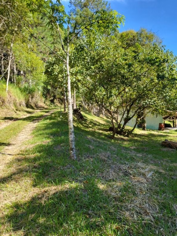 Small farm of 5 acres in Natividade da Serra, SP, Brazil