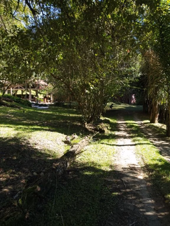 Small farm of 5 acres in Natividade da Serra, SP, Brazil