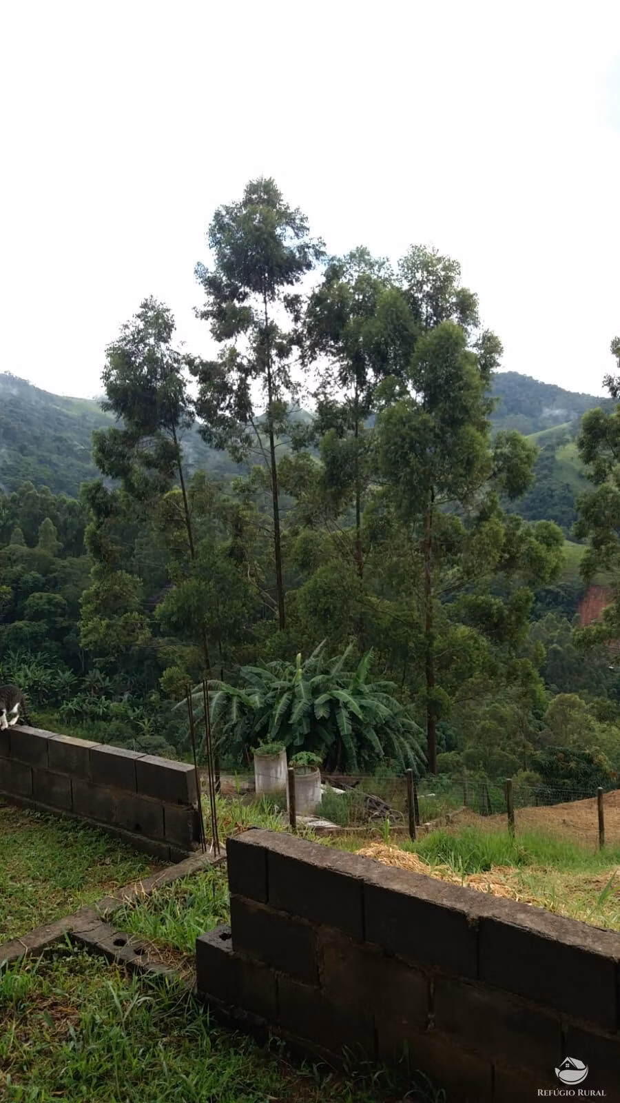 Chácara de 870 m² em Monteiro Lobato, SP