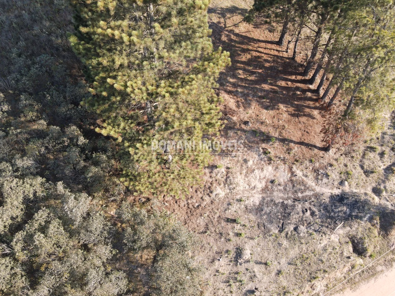 Terreno de 1.360 m² em Campos do Jordão, SP