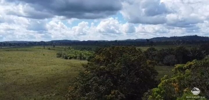 Fazenda de 2.159 ha em Trairão, PA