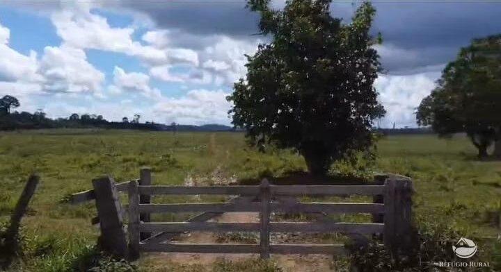 Fazenda de 2.159 ha em Trairão, PA