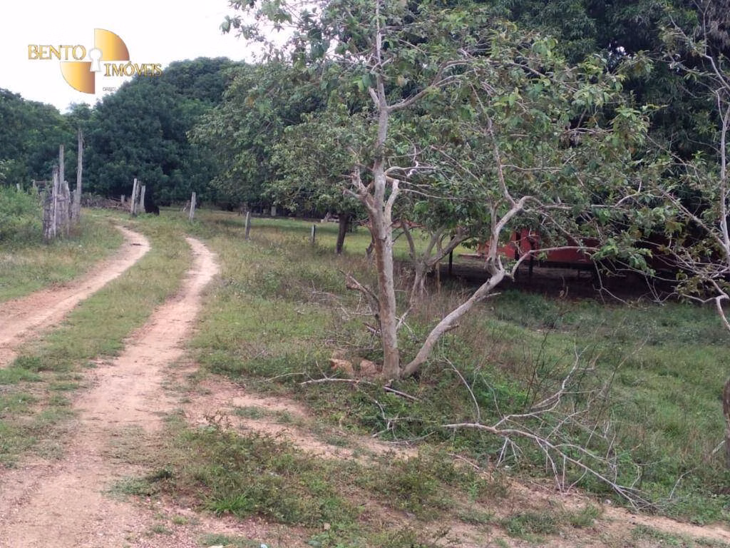 Farm of 623 acres in Cuiabá, MT, Brazil