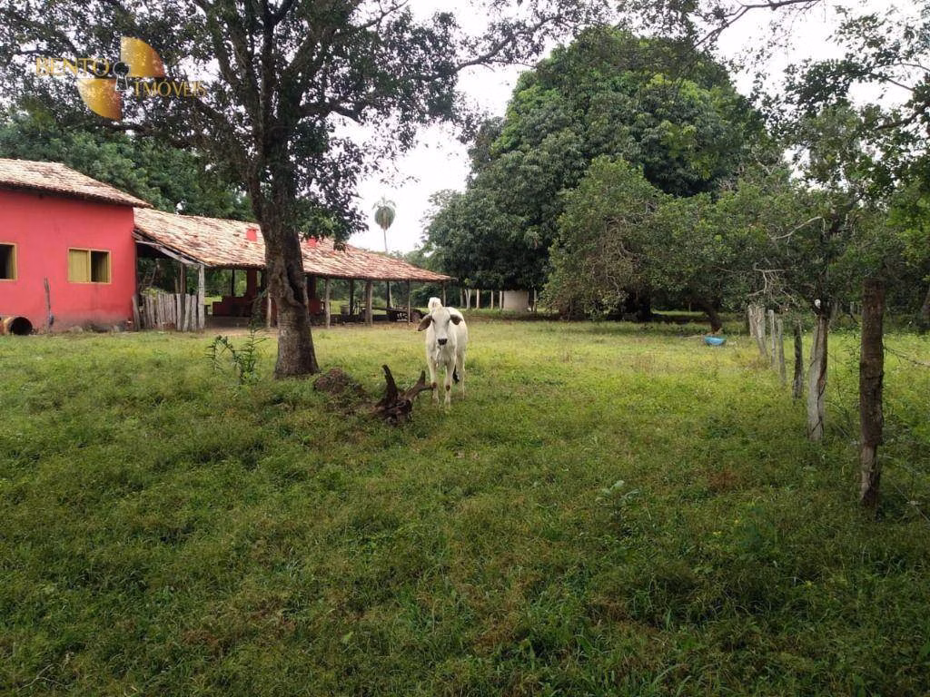 Fazenda de 252 ha em Cuiabá, MT