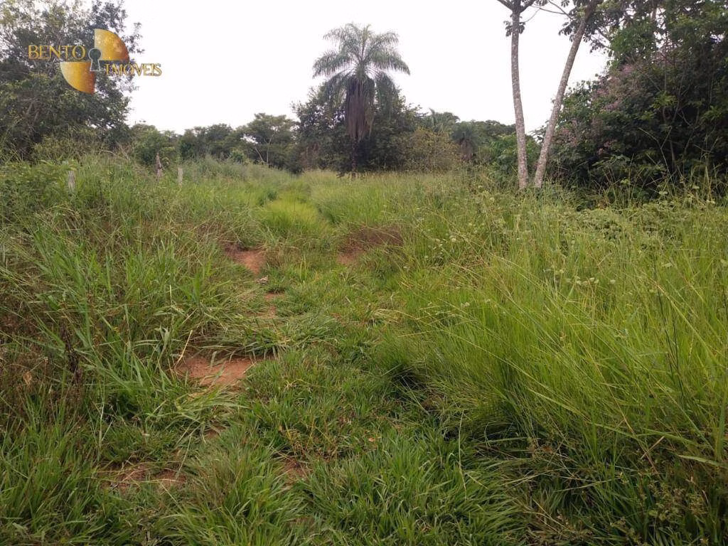 Fazenda de 252 ha em Cuiabá, MT