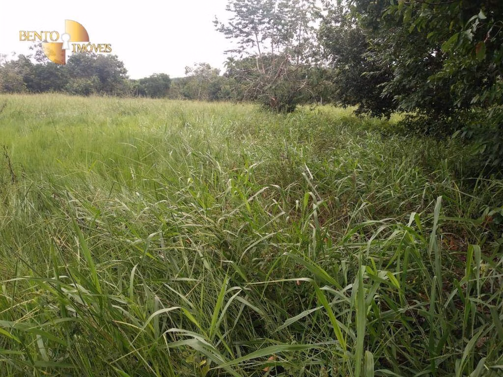 Farm of 623 acres in Cuiabá, MT, Brazil